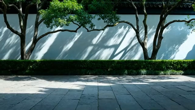  中式庭院白墙绿植光影2525#横屏 	 