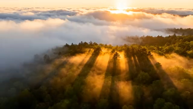  云海日出森林航拍2459#横屏 	 -