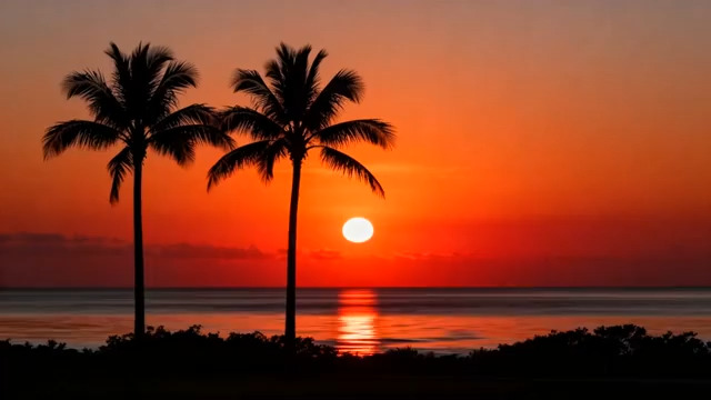  椰树海边日落美景2333#横屏 	 