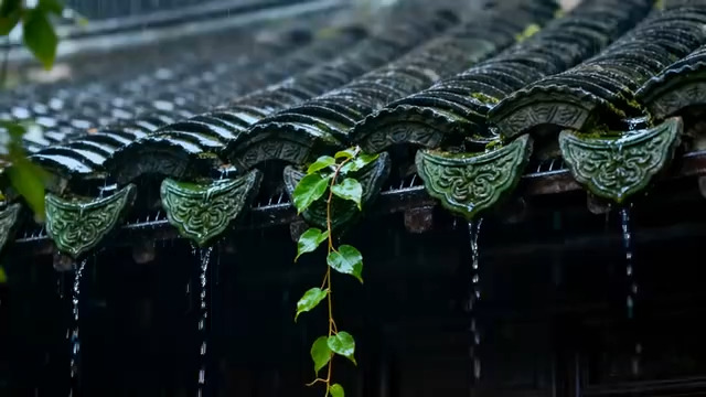  雨中古建筑屋檐滴水2433#横屏 	 