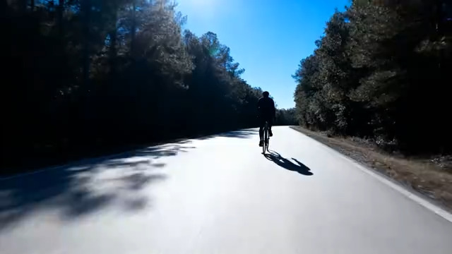  阳光林间公路骑行背影2264#横屏 	 