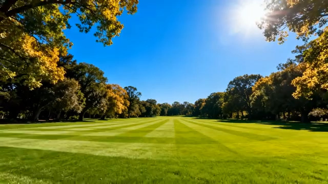  阳光草坪景观2241#横屏 	 