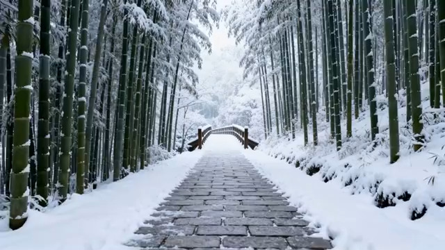  雪后竹林石板路2167#横屏 	 