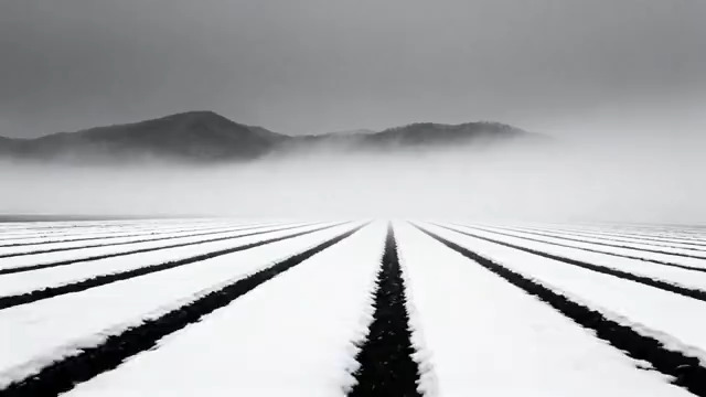  水墨意境黑白田野1858#横屏 	 -