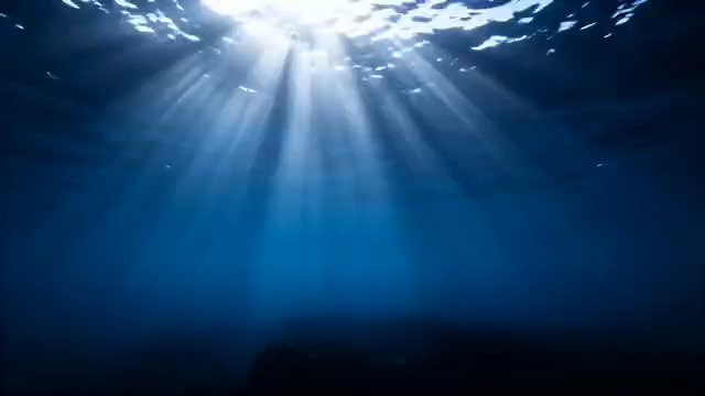  深海鲸群剪影1745#横屏 	 