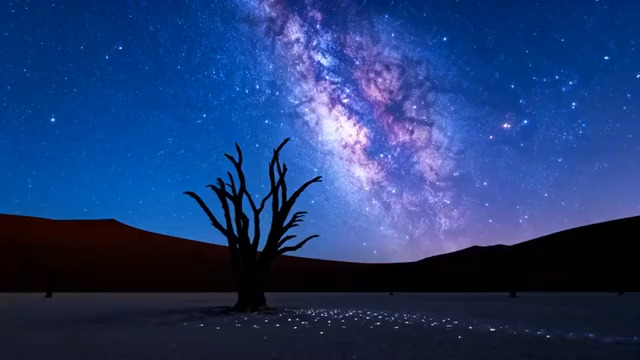  沙漠星空下的枯树剪影1630#横屏 	 