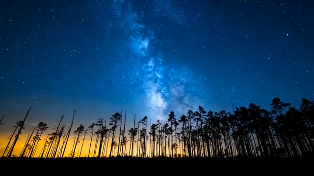  森林夜空银河延时1583#横屏 	 