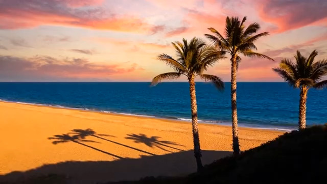  日落海滩椰树风景1526#横屏 	 