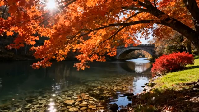  秋日红枫映拱桥1475#横屏 	 