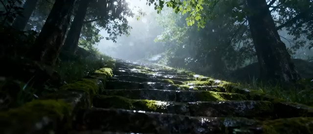  林间石阶晨光雾霭1261#横屏 	 