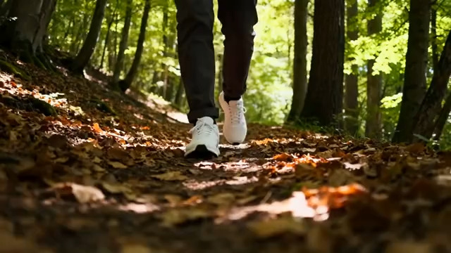  林间落叶漫步1258#横屏 	 