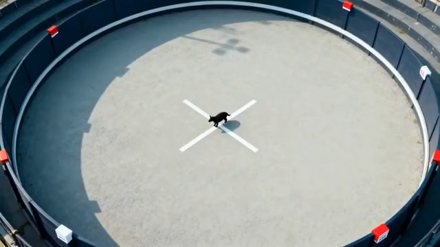  警犬训练场地航拍1071#横屏 	 