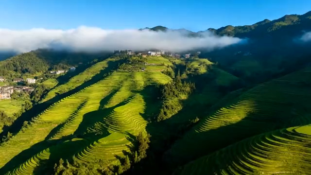  航拍云雾缭绕梯田761#横屏 	 