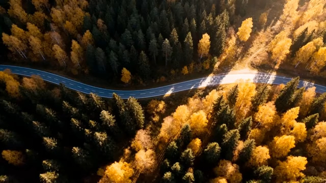  航拍秋日森林公路734#横屏 	 -