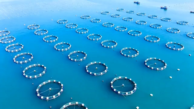  航拍深海养殖基地740#横屏 	 