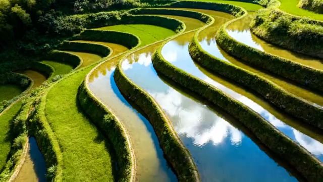  航拍绿色梯田美景722#横屏 	 