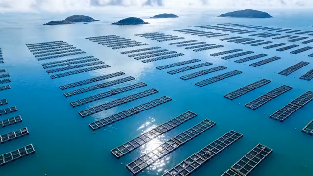  海上养殖基地航拍674#横屏 	 