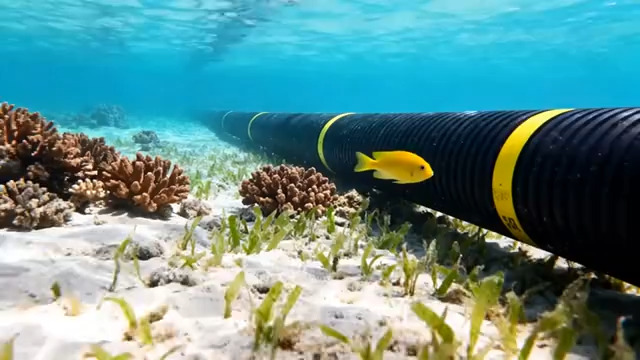  海底管道与珊瑚礁景观608#横屏 	 