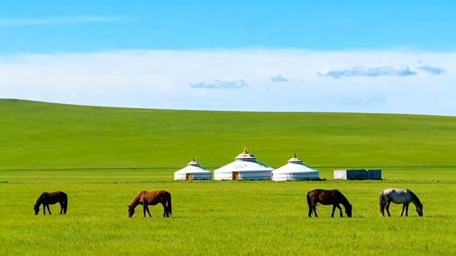  草原骏马与蒙古包风光112#横屏 	 