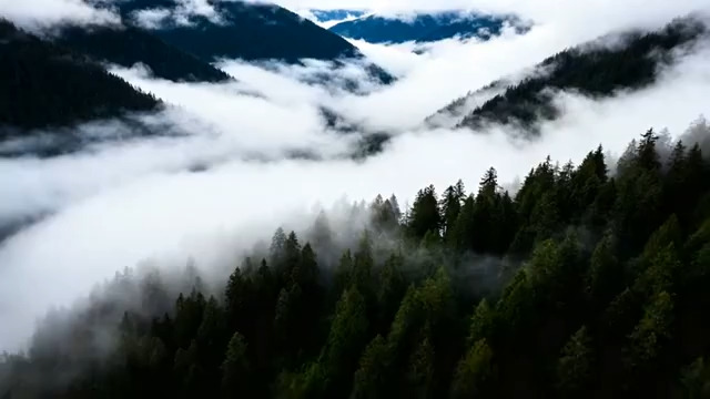  云雾缭绕山间景观3117#横屏 	 