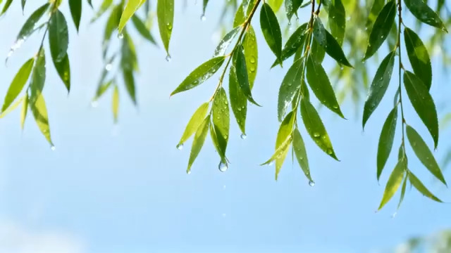  幼儿园老师和孩子们2984#横屏 	 