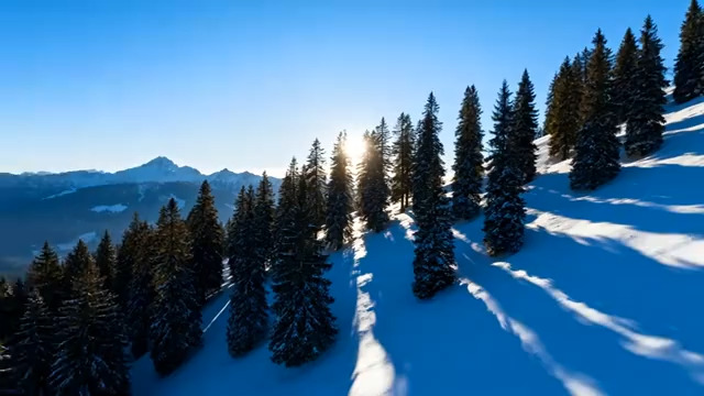  雪山松林阳光雪景2674#横屏 	 -