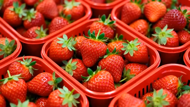  新鲜草莓特写2533#横屏 	 - 