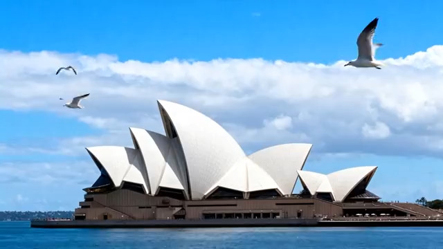  悉尼歌剧院海鸥飞翔2422#横屏 	 