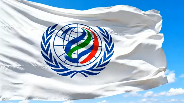  世界卫生组织飘扬2126#横屏 	 -