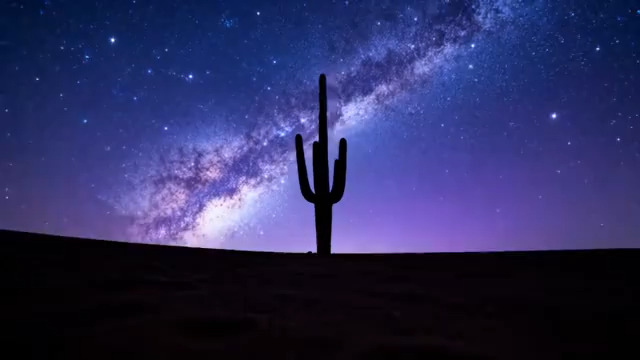  沙漠星空下的仙人掌剪影1924#横屏 	 