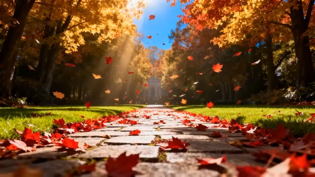  秋日落叶石板路阳光1787#横屏 	 - 