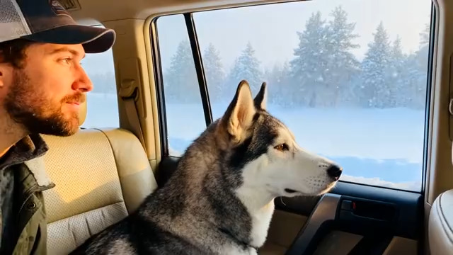  男子与哈士奇车内看雪景1634#横屏 	 