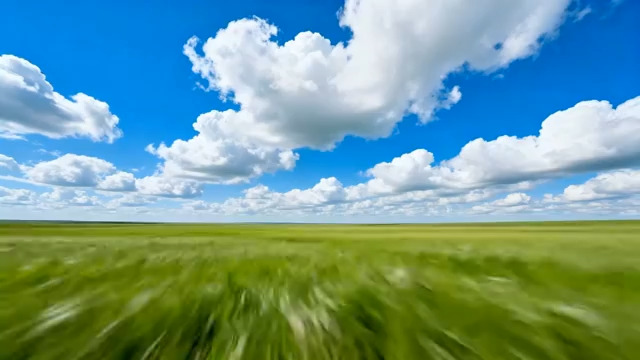  蓝天白云绿草地1413#横屏 	 - 