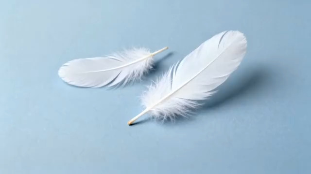  蓝色背景羽毛特写1383#横屏 	 