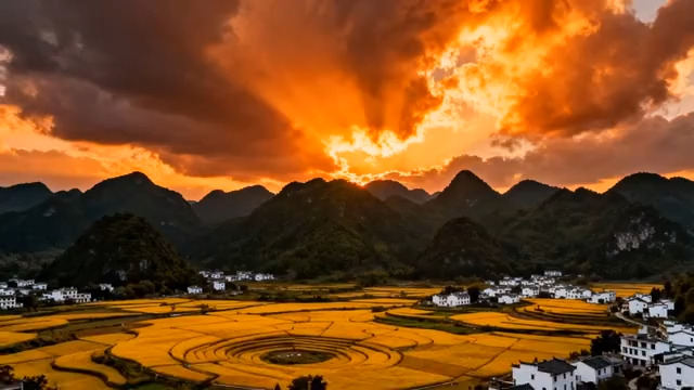  金色梯田日落美景1189#横屏 	 