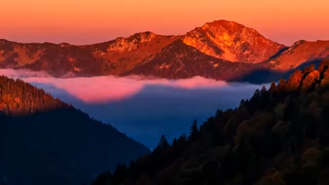  金色山顶云海日出1173#横屏 	 