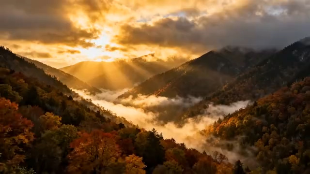  金色晨光山林云海1141#横屏 	 