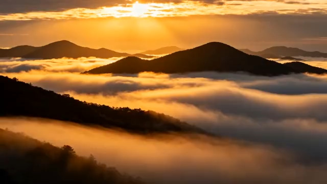  金色朝阳云海山川1140#横屏 	 