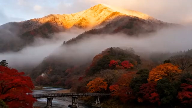  金秋山雾晨光美景1132#横屏 	 