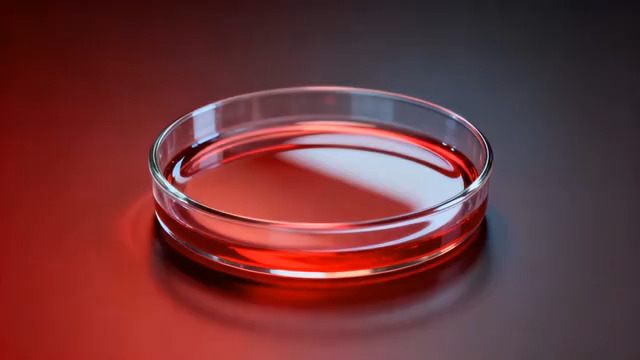  红色培养皿特写903#横屏 	 -