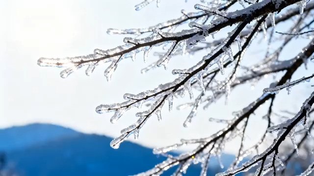  冬日冰挂树枝特写409#横屏 	 