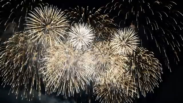  春日樱花绽放特写351#横屏 	 - 