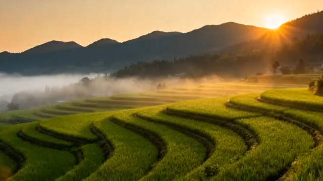  晨曦中的梯田风光229#横屏 	 