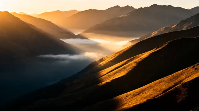  晨曦森林阳光光束211#横屏 	 - 