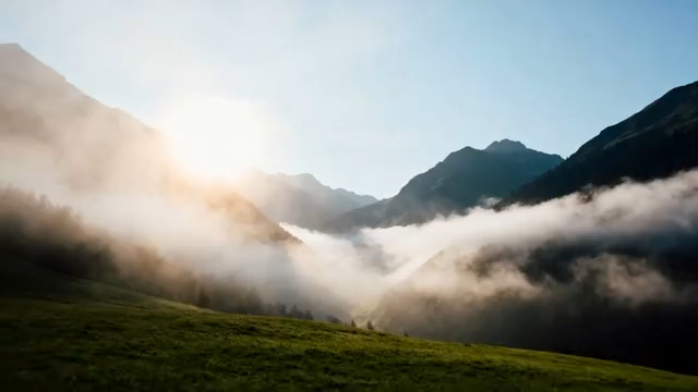  晨曦森林蕨类逆光特写210#横屏 	 