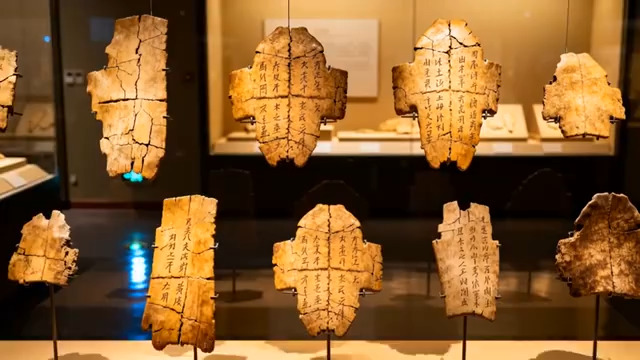  博物馆甲骨文展示81#横屏 	 