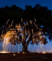  夜晚大树下火花四射景象1769#横屏 	 