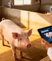  养殖场人员用平板检测猪健康1571#横屏 	 