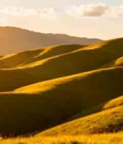  阳光下连绵起伏的草原风光1222#横屏 	 