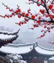 雪中古建筑与红梅景致165#横屏 	 
